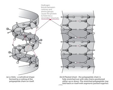 Tertiary structure of a protein