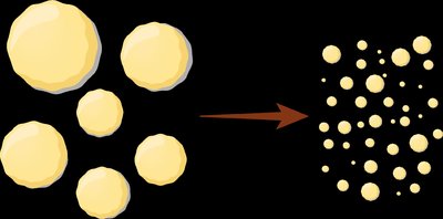 Bile emulsification of fat