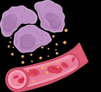 Nervous system illustration