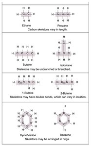 Hydrocarbon skeletons and isomers