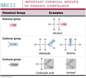 Important chemical groups of organic compounds (continued)