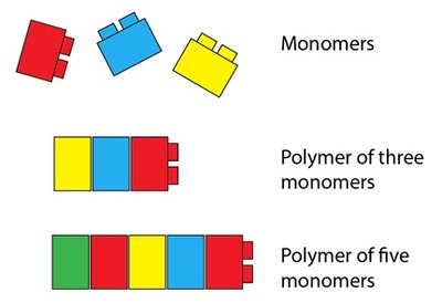 Monomers and polymers using LEGO analogy