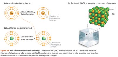 Ion formation and ionic bonding