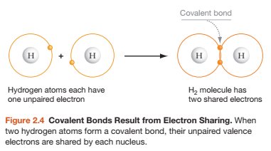 Covalent bonds result from electron sharing