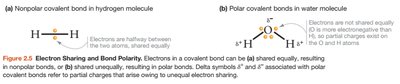 Nonpolar and polar covalent bonds