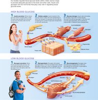 Hormonal regulation of blood glucose