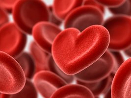 Red blood cells, representing cardiovascular health