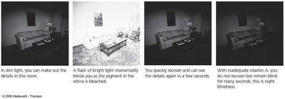 Vitamin A and night blindness sequence
