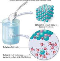 Salt dissolving in water