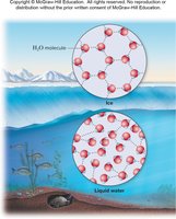 Ice floating on water and its insulating effect