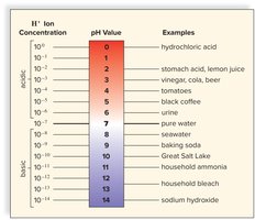 pH scale with examples of common substances