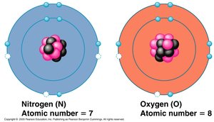 Bohr models of nitrogen and oxygen atoms