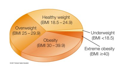 BMI categories pie chart