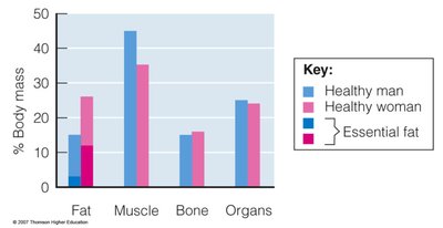 Body composition by tissue type