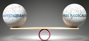 Balance between antioxidants and free radicals