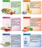 Six groups of essential nutrients