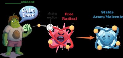 Antioxidant calming a free radical