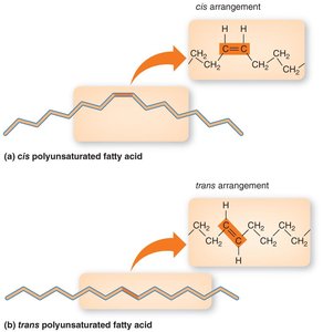 Cis and trans polyunsaturated fatty acids