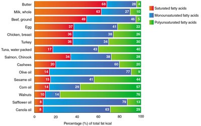 Sources of dietary fat: saturated, monounsaturated, polyunsaturated