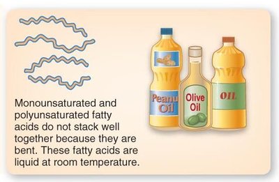 Liquid fats: unsaturated fatty acids