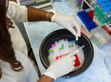 Lab-based in vitro study