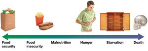 Spectrum of food security to death