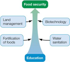 Strategies to improve food security