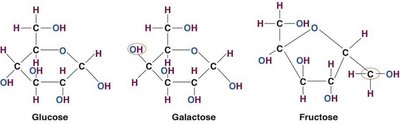 Structures of glucose, galactose, and fructose