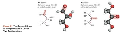 Aldose and ketose structures