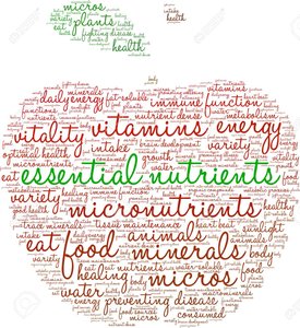 Essential nutrients word cloud