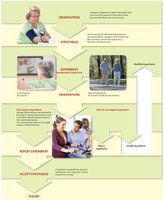 The scientific method in nutrition research