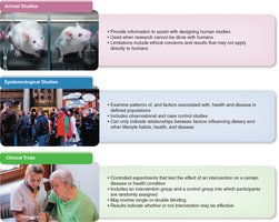 Types of research studies