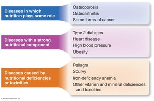 Relationship between nutrition and disease
