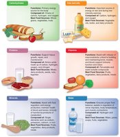 Six groups of essential nutrients