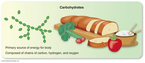 Carbohydrates: structure and food sources