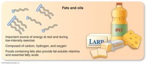 Fats and oils: structure and food sources