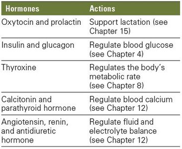 Table of protein hormones and their actions