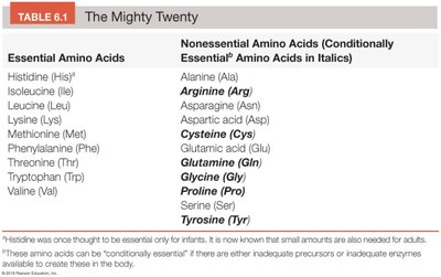 Table of essential and nonessential amino acids