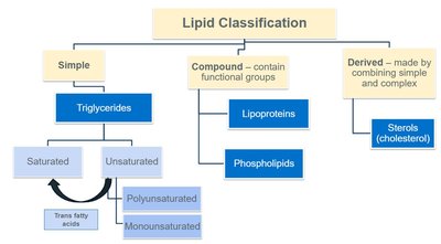 Lipid Classification Chart