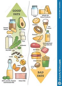 Good and Bad Fats Food Sources