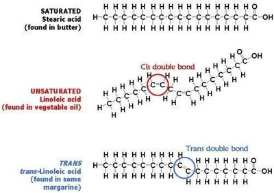 Saturated, Unsaturated, and Trans Fatty Acid Structures