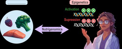 Nutrigenomics: diet affecting gene expression