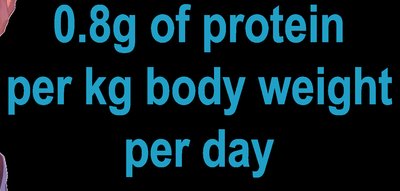 RDA and AMDR for protein intake