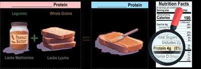 Transamination reaction