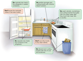 Kitchen practices to prevent cross-contamination