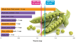 Dietary sources of thiamin and RDA comparison
