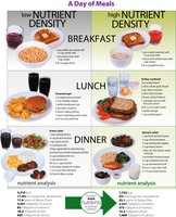 Comparison of low and high nutrient density meals
