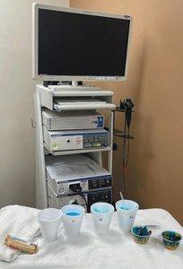 FEES equipment setup