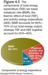 List of BMR functions