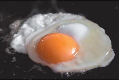 Cooked egg as an example of denaturation